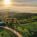 Đất ven Đà Lạt hưởng lợi từ xu hướng sống xanh mới